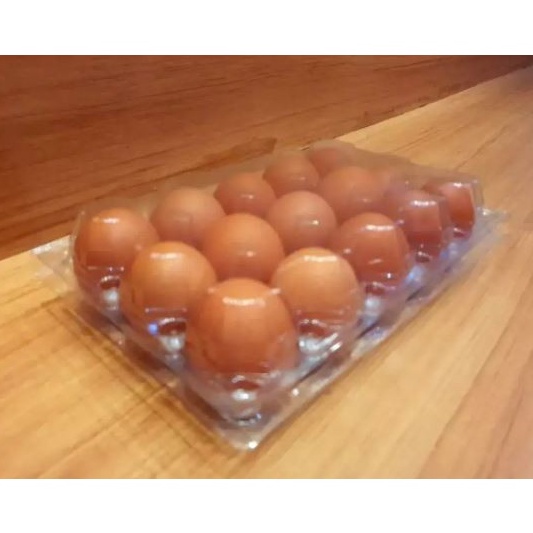 Domdom 25Pcs Mika Telur isi 15 + Pengunci TEBAL Egg Box Storage Kotak Telur Tray
