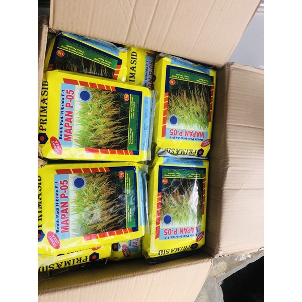 benih padi hibrida mapan 05 kadaluarsa 09/23 original