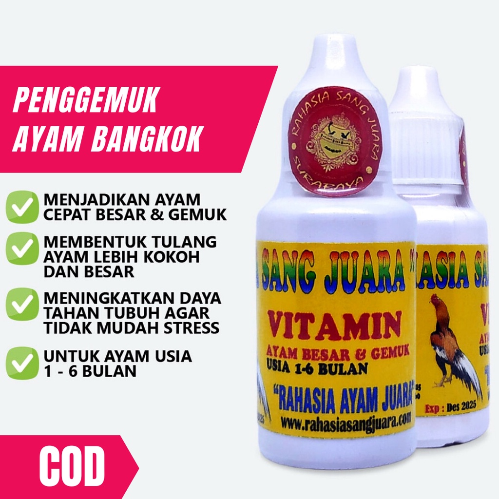 PENGGEMUK AYAM BANGKOK VITAMIN AYAM CEPAT BESAR OBAT AYAM CEPAT BESAR DAN GEMUK UMUR 1 BULAN SAMPAI 