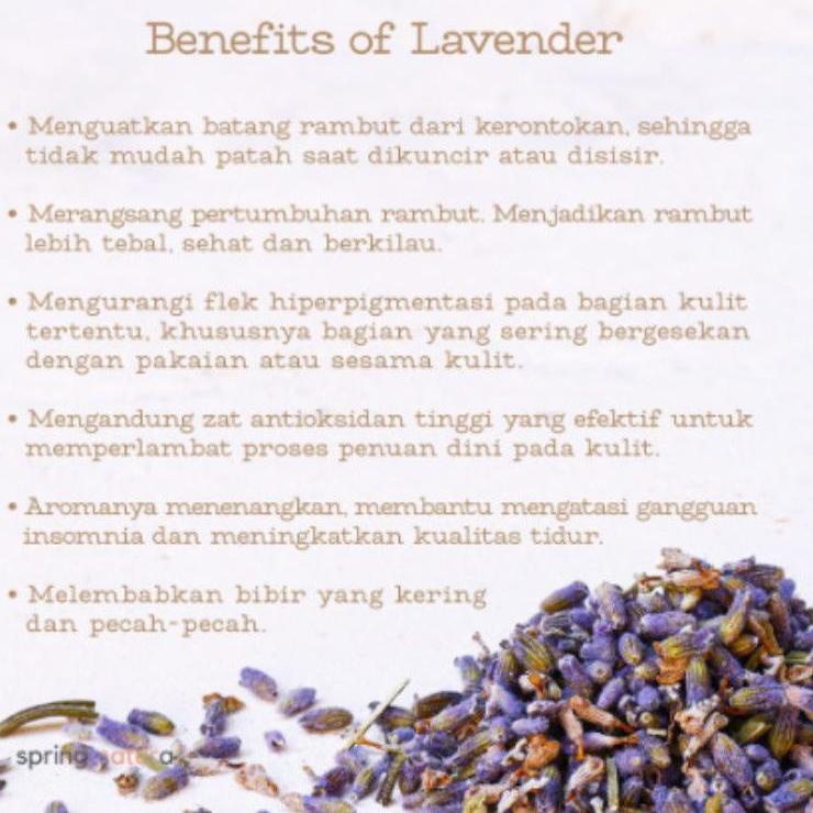 

IdM2y2X--Lavender Chamomile Tea : Lavender Flower & Chamomile Flower Isi 30 Tea Bag