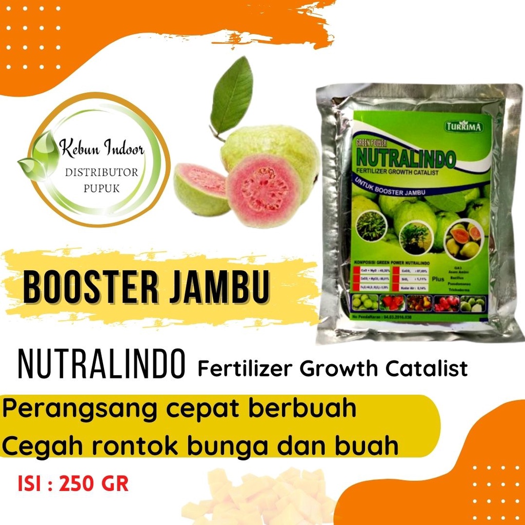 Jual Pupuk Organik Booster Jambu Pupuk Pelebat Jambu Anti Rontok Booster Buah Jambu Air 0493