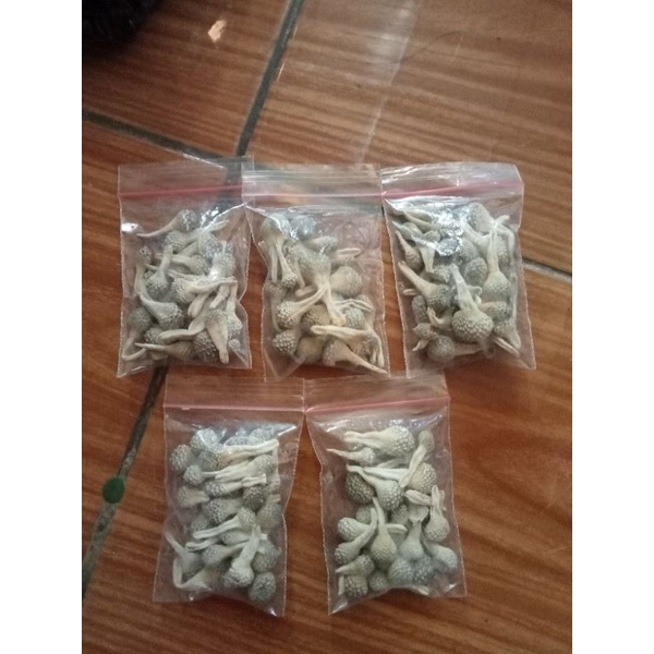 

mpot ayam Kalimantan