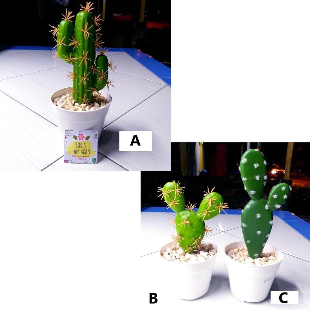 Kaktus - Tanaman Hias Plastik Bunga Artificial Murah Bunga Palsu Dekorasi Rumah - BISA COD
