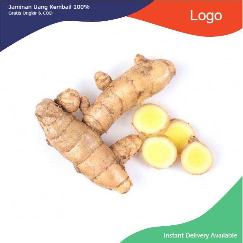 

Promo Promo Kunyit putih fresh 1kg ( curcuma zedoria )