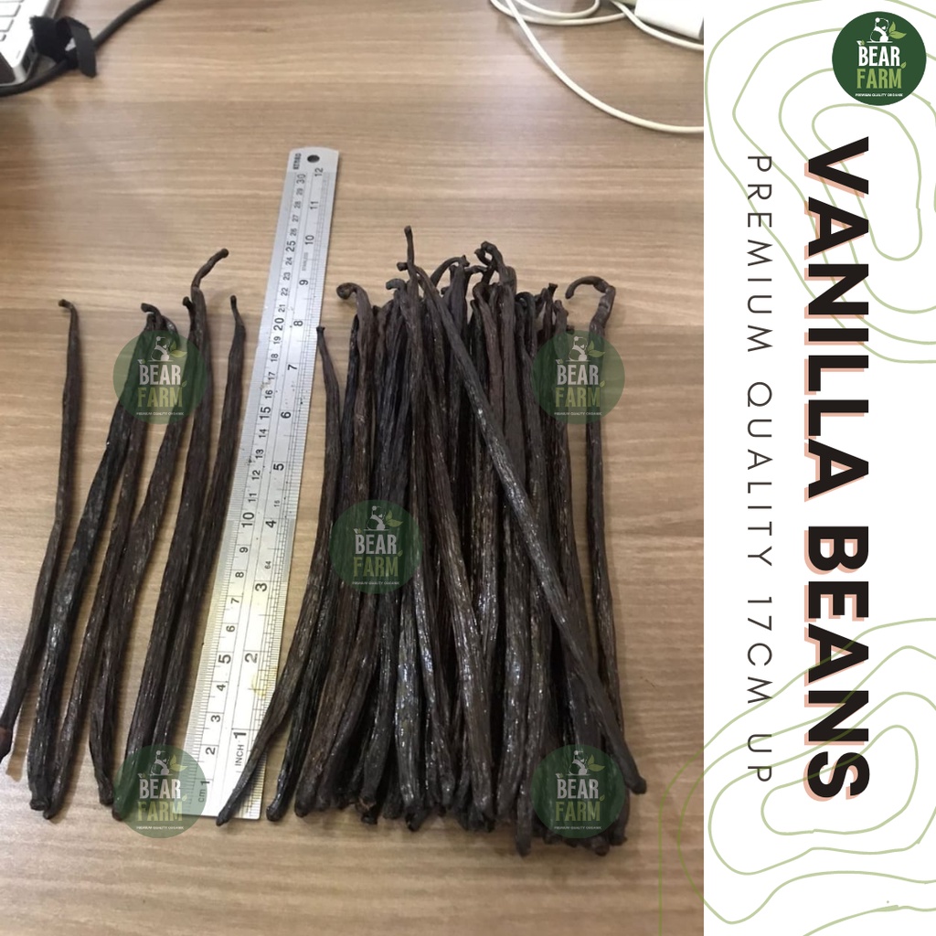 

Vanilla Bean / Vanili / Biji Vanilla Gourmet Grade A Premium Quality 500 Gr 1 Kg