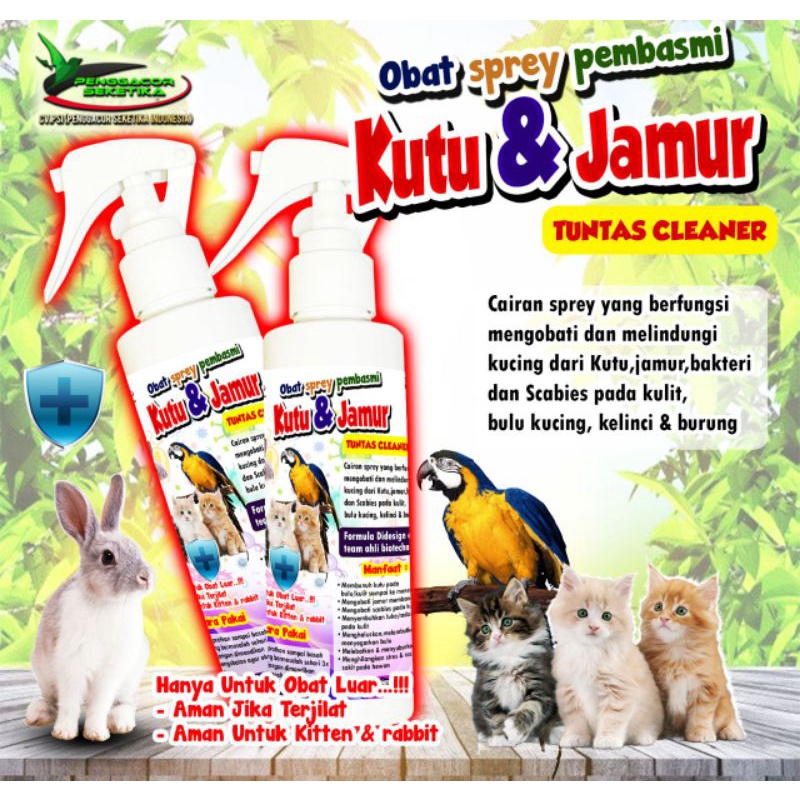 OBAT SPREY PEMBASMI KUTU DAN JAMUR/OBAT JAMUR KUCING/OBAT JAMUR KECINCI/OBAT JAMUR BURUNG
