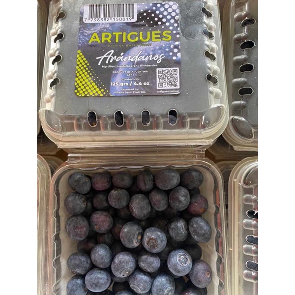 BLUEBERRY BANDUNG | BUAH SEGAR BANDUNG | WARUNG CEU ENGKAY
