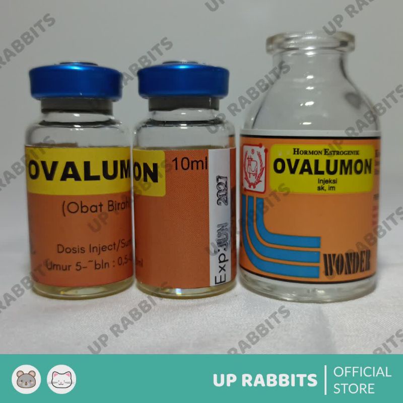 Ovalumon inject obat kawin kelinci