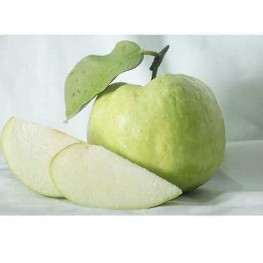 

ㅫ JAMBU KRISTAL FRESH PETIK KEBUN [COD] HIGHT QUALITY ➹