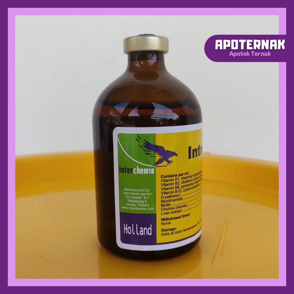 INTROVIT B COMPLEX | Vitamin B Komplek Konsentrasi Tinggi + Biotin | 100 mL | TMC | Apoternak