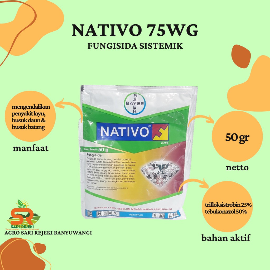 NATIVO 75WG 50GR FUNGISIDA SISTEMIK