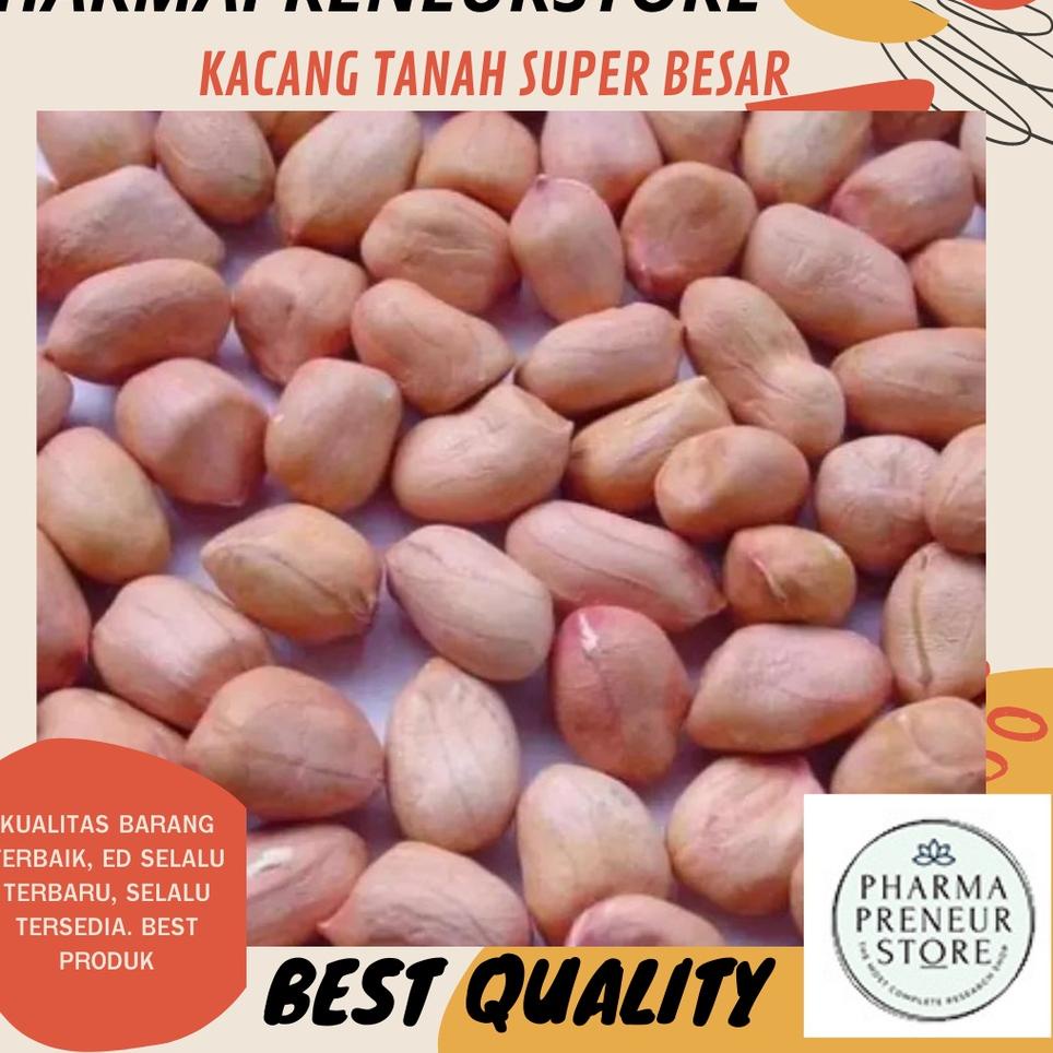 

KODEGg5G0--KACANG TANAH SUPER BESAR 500 GRAM DAN 1000 GRAM NO. 1 BEST QUALITY MURAH BANGET!!! UNTUK ANEKA KUE DAN MAKANAN