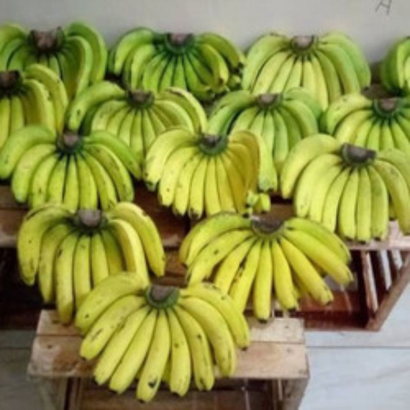 

pisang Ambonlumut
