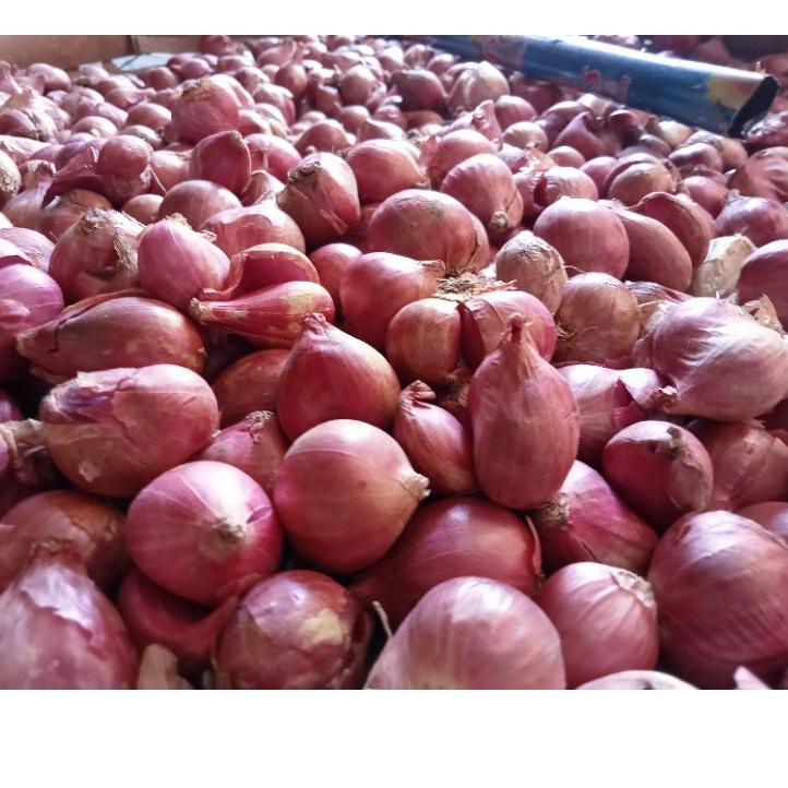 

[COD✔]Bawang Merah Lokal uk Sedang 500 gr - 1000 gr