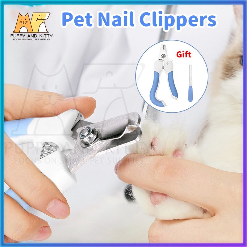 Gunting Kuku Kucing Anjing / Hadiah gratis Potong Kuku Kucing Pet Nail Clipper set Alat Kikir Kuku Hewan Pemotong