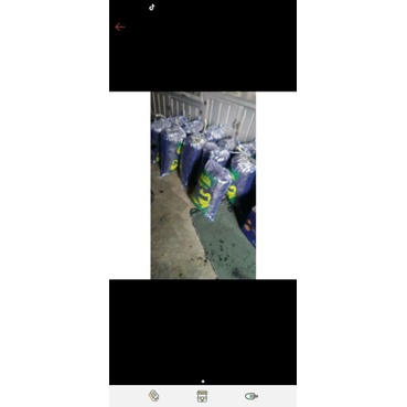 

areng batok kelapa1kg