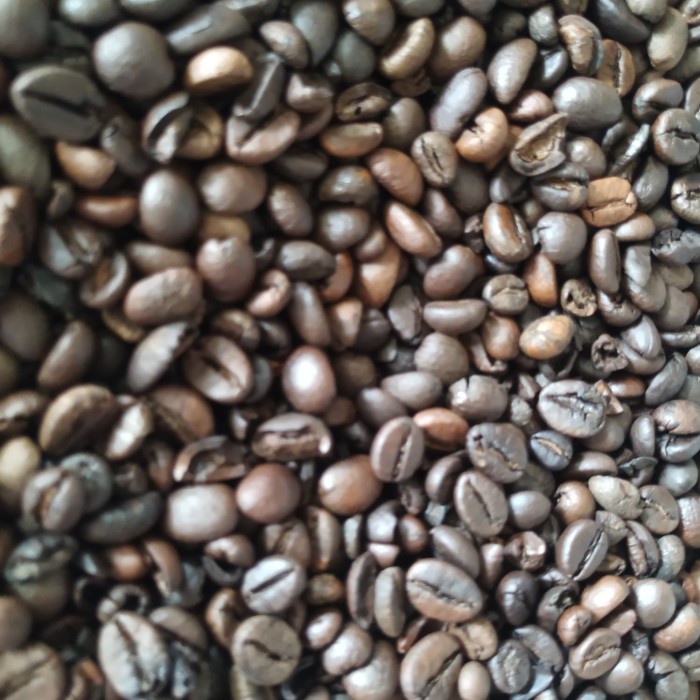 

TERBARU 1kg biji kopi robusta roasting (biji kecil dan biji pecah)