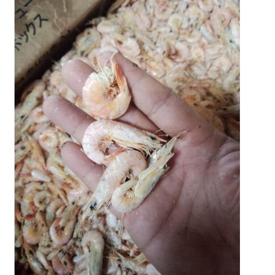 

KodeCc1C6--udang ebi /udang ebi segar; 1kg best seler