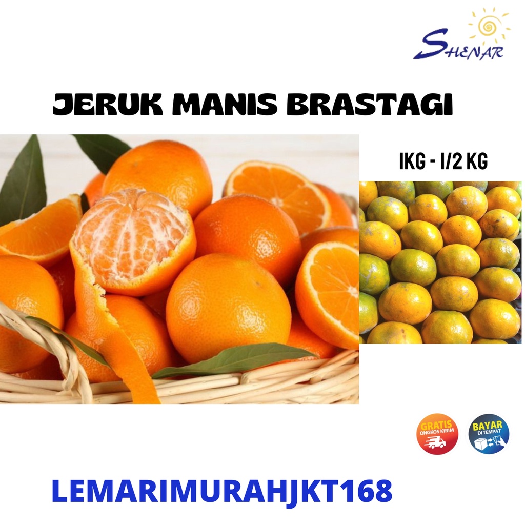 

SHENAR - BUAH JERUK JERUK MANIS SWEET ORANGE BUAH JERUK BRASTAGI MANIS JERUK MEDAN ASLI JERUK - 1KG 500GR,LEMARIMURAHJKT168