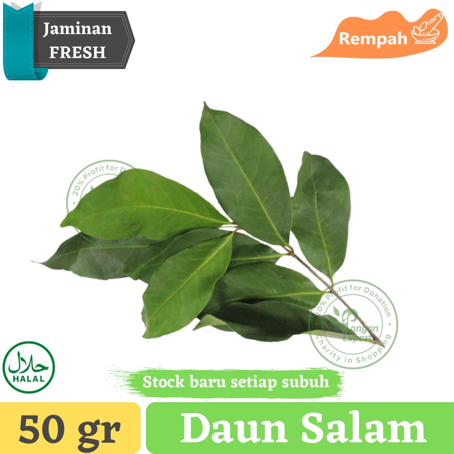 

Daun Salam Bay Leaf Bumbu Dapur