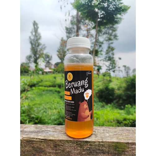 

Madu Murni Asli Beruang Madu 300 gram Grade A Nektar Randu 100% Alami Pure Natural Raw Honey