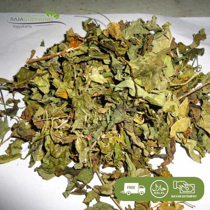 

daun katuk kering berkualitas 500 gram dan 1 kg