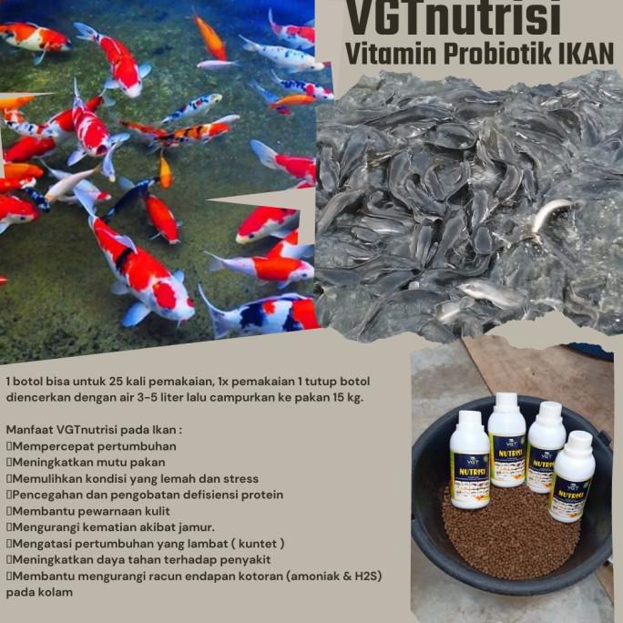 Vgt Nutrisi Ikan Vitamin Probiotik Perikanan Air Tawar Payau Lele Nila