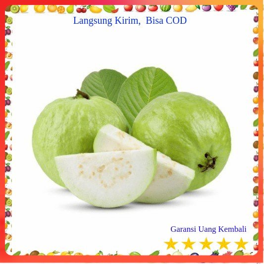 

[Yunko] Jambu Kristal 500 gr Buah Buahan Bersih Fresh Souvenir Hadiah Ulang Tahun Kado Cuci Gudang Grosir Export Promo Cod Gratis Ongkir Oleh Oleh Murah Terlaris Bagus Parcel Serbaguna
