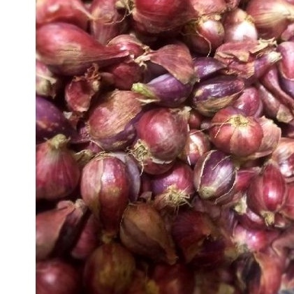 

bawang merah brebes asli 500 gr