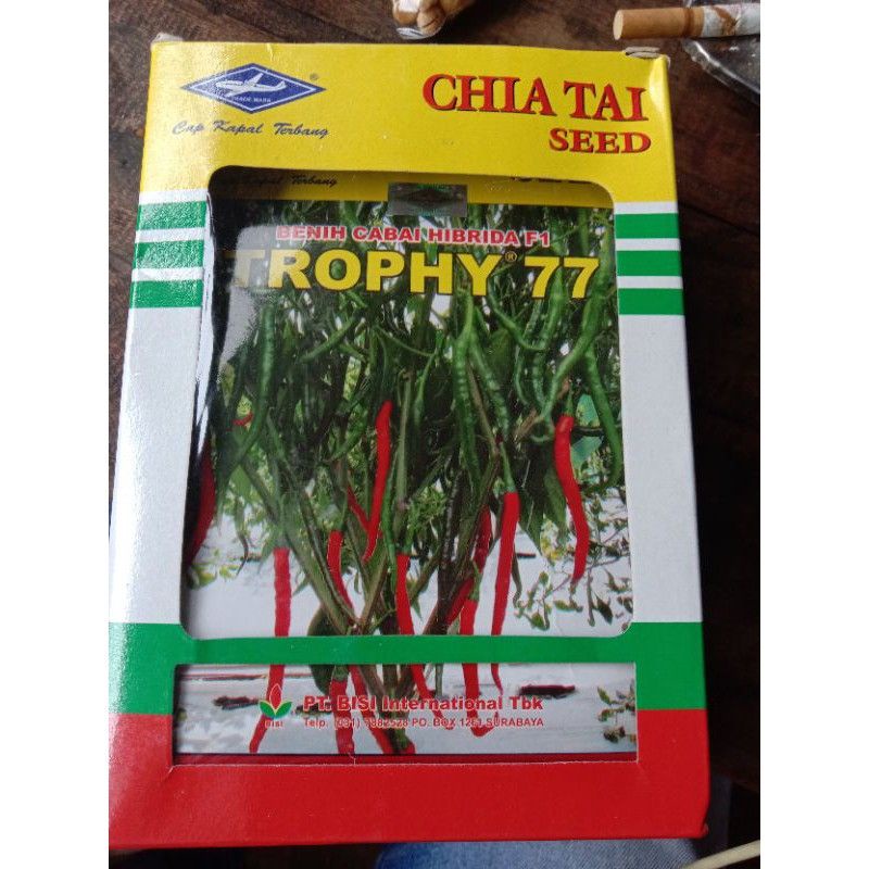 BENIH CABAI MERAH KERITING TROPHY 77 - BIBIT CABE CMK KAPAL TERBANG