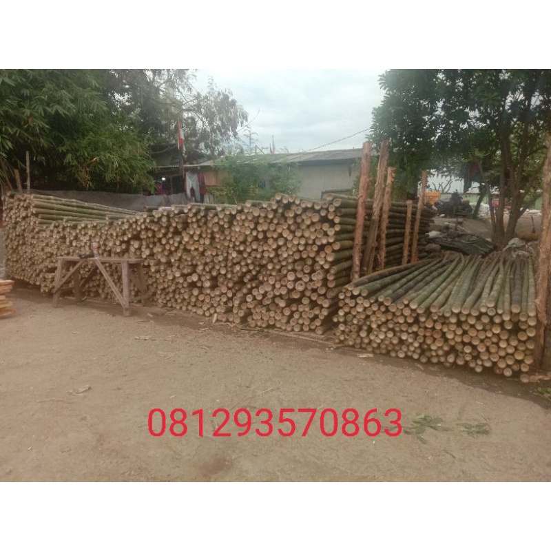 bambu steger murah