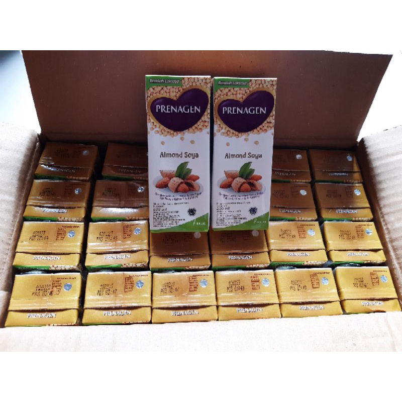 Prenagen UHT Almond soya 24×200ml/prenagen uht almond soya 1karton