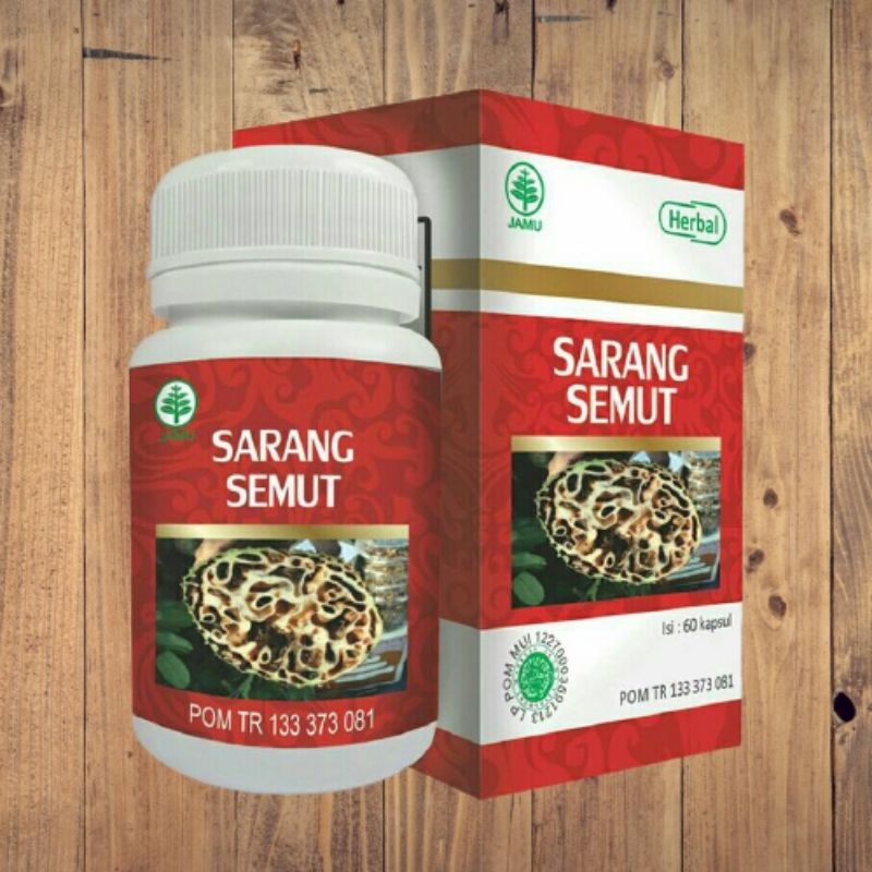 HIU Kapsul Sarang Semut Herbal Kanker Tumor dll