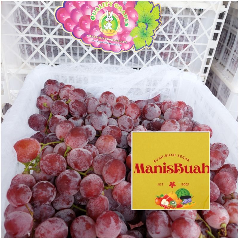 

Red globe fresh/anggur merah buah