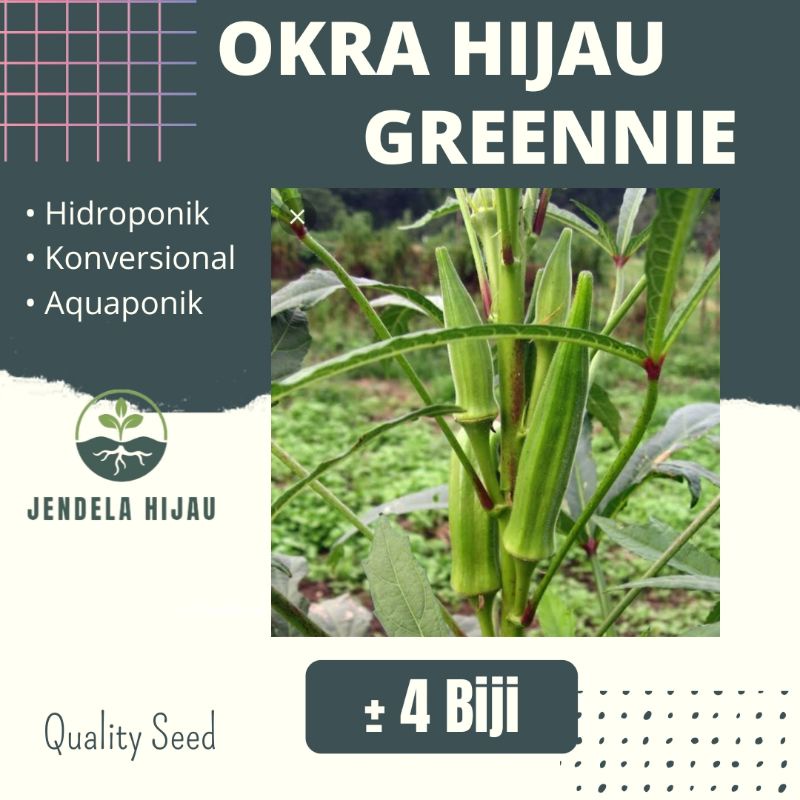 Benih OKRA Hijau GREENNIE Known-You Seed - Bibit Tanaman Sayuran Repack.