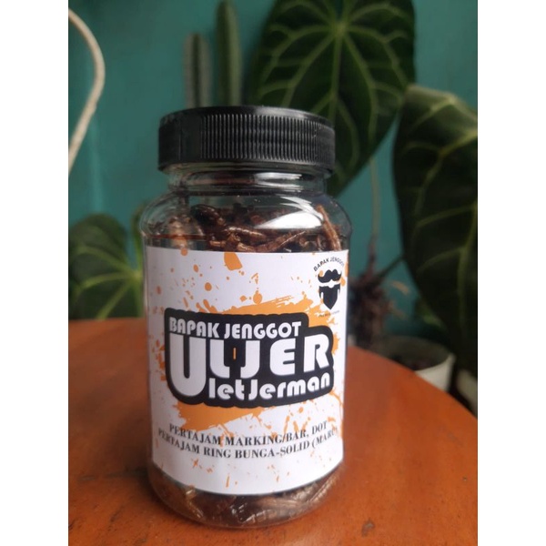 ulet Jerman kering/pakan ikan predator channa