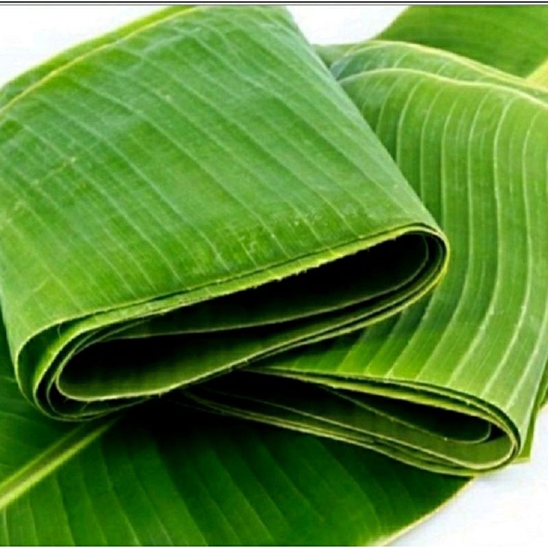 

daun pisang segar