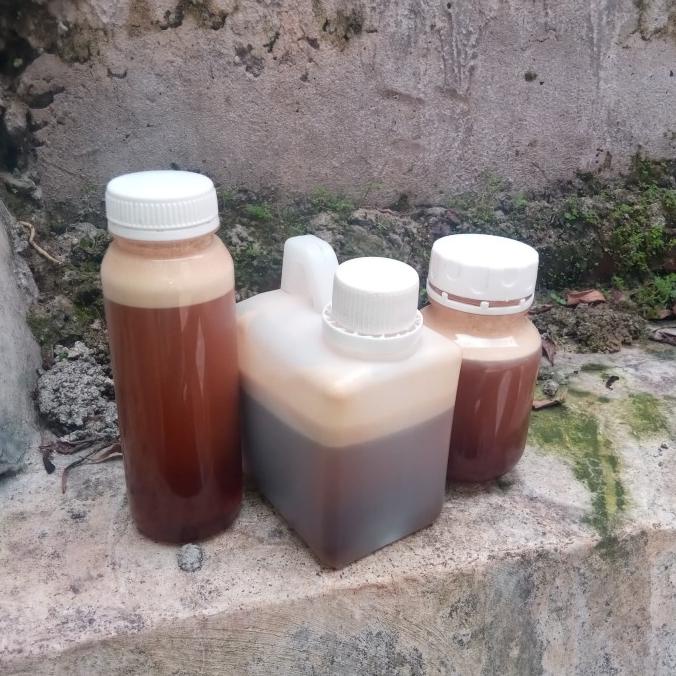 

NEW SALE MADU KELANCENG ISI BERSIH 500G TERBAIK