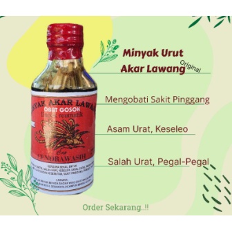 Minyak Akar Lawang 150ml Asli Kalimantan, CAP CENDRAWASIH