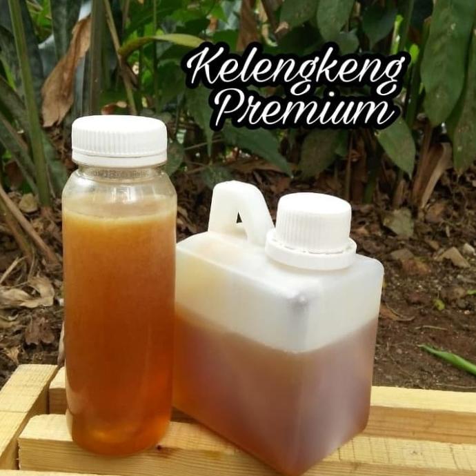 

NEW SALE MADU KAYUPUTIH PREMIUM ISI BERSIH 500G ORIGINAL