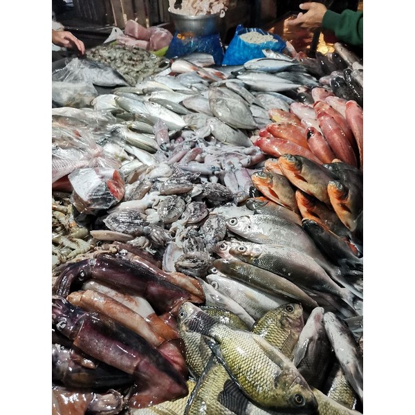 

Ikan patin "tanpa kepala & sudah dipotong" 500g