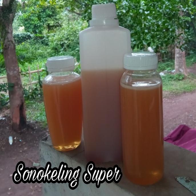 

TERBAIK MADU SONOKELING SUPER ISI BERSIH 1KG STOK TERBATAS