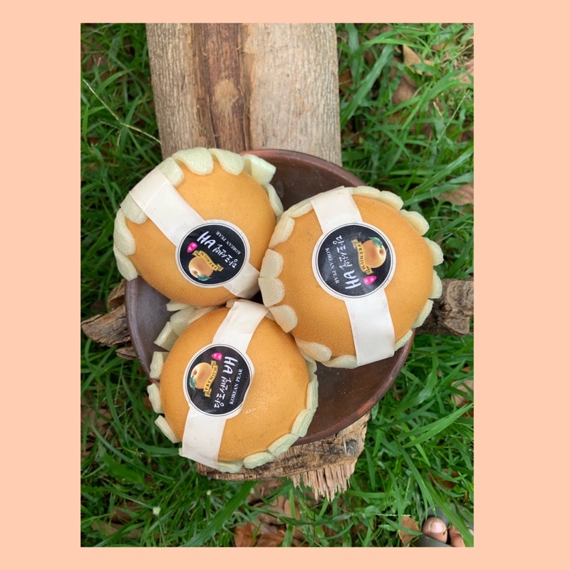 

Buah pear singo korea / pear singo korea super