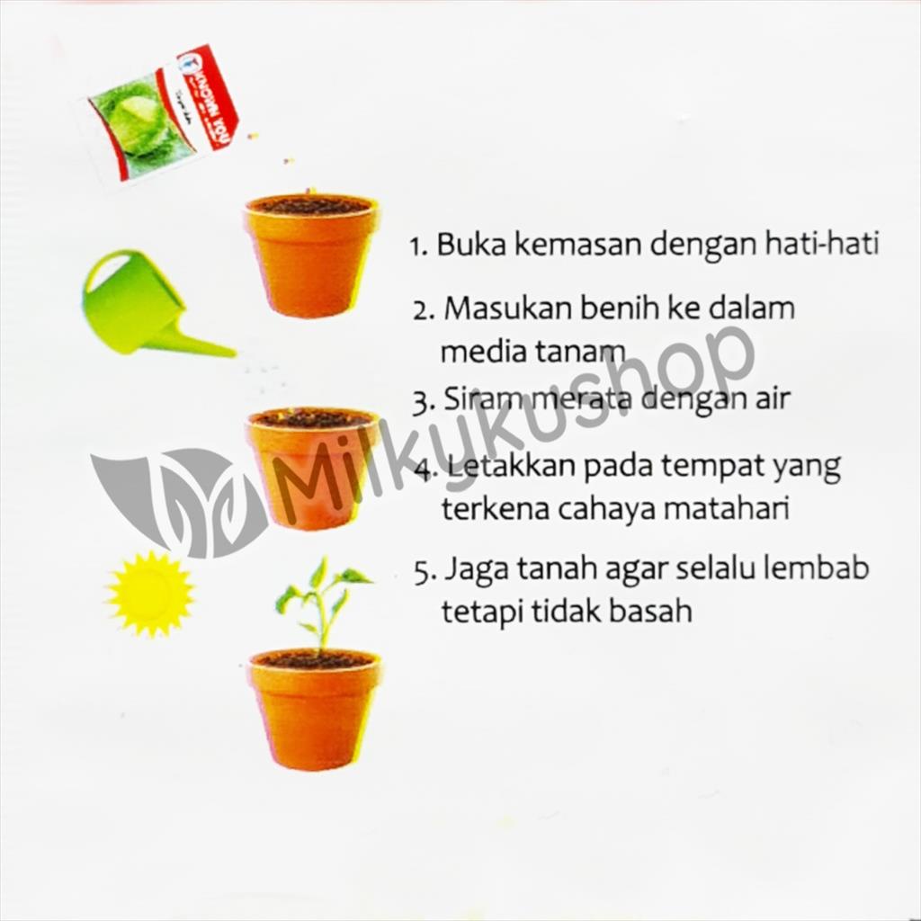 BENIH KYS KNOWN YOU SEED OKRA F1 LUCKY FIVE 25 BIJI KEMASAN PABRIK