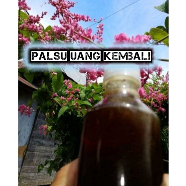 

madu murni kelulut/klanceng