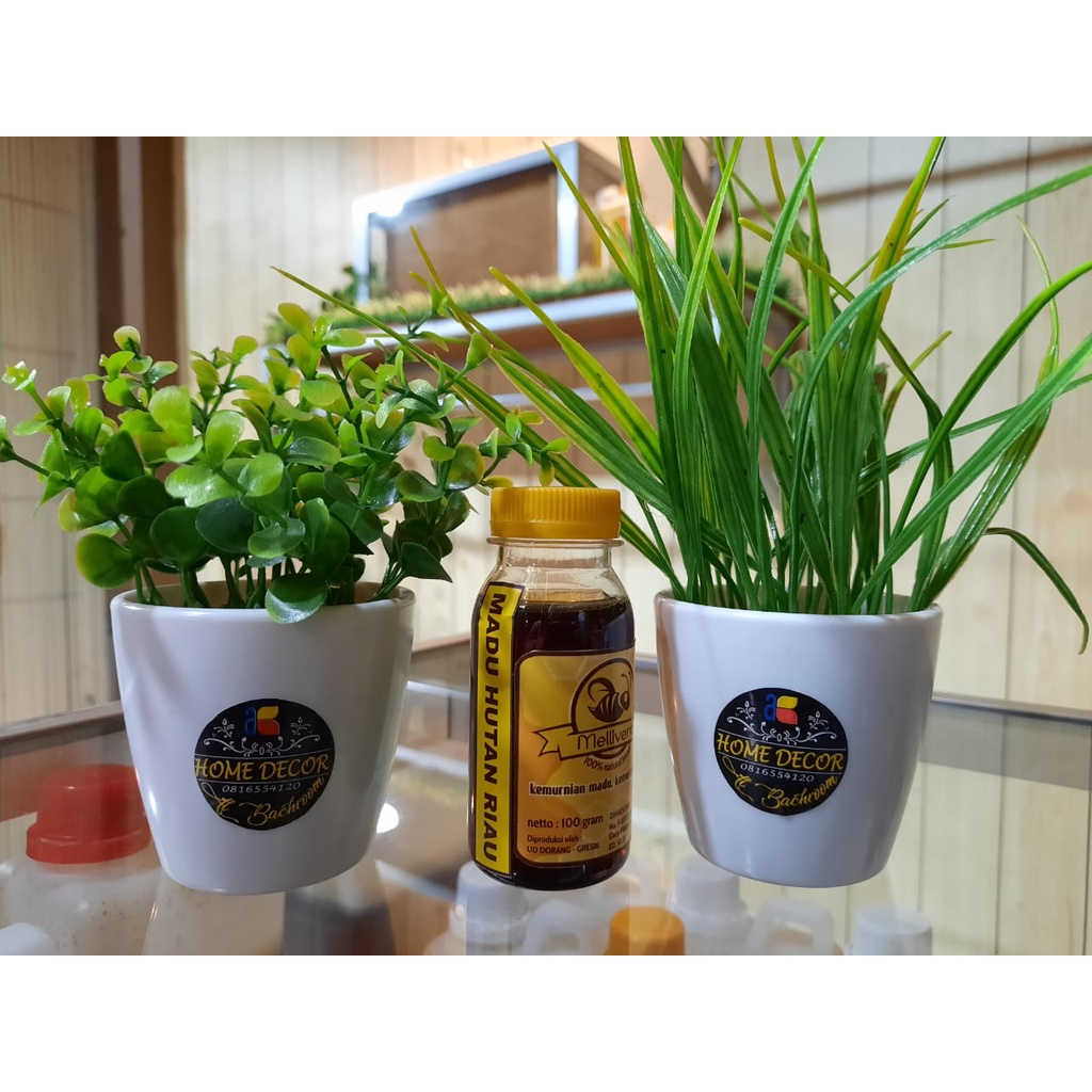 

Madu Murni Hutan Sialang Riau 100g