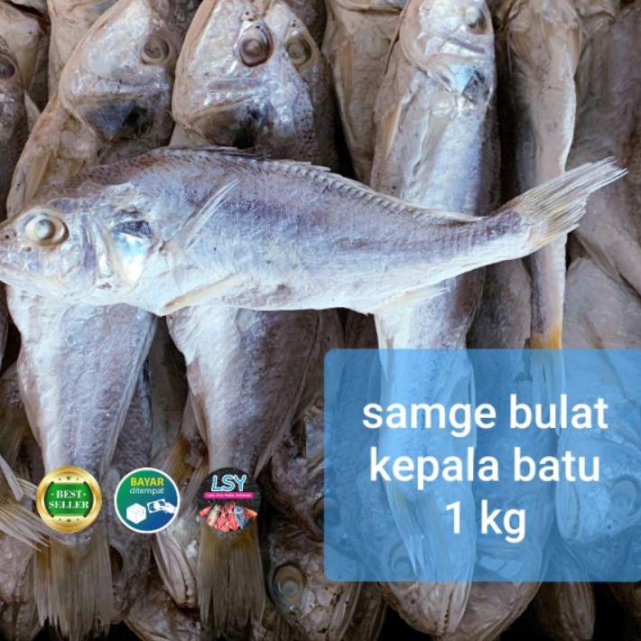 

✨Promo✨ Hari Ini ikan asin samge / kepala batu 1 kg !!