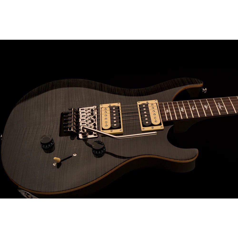 PRS SE Custom 24 Floyd