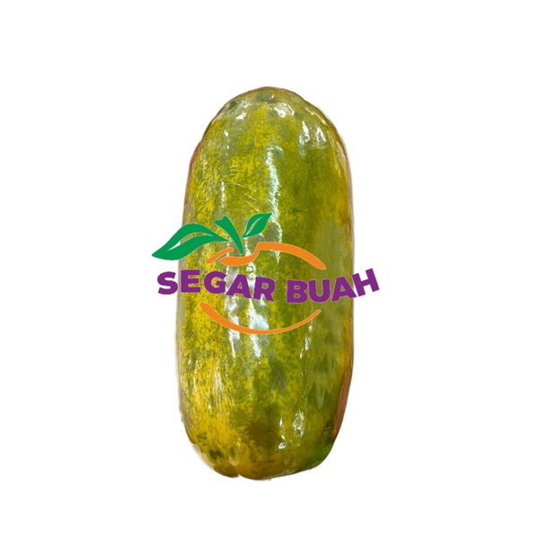 

Buah Pepaya Per Pcs (Satuan) 1 - 1,5 Kg