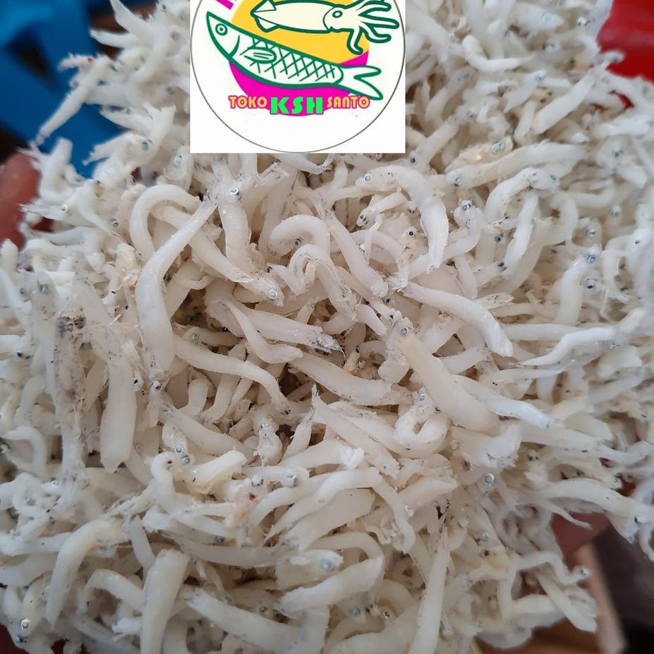 

Star Ikan asin teri medan kasar-500gram murah
